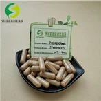 Туркестерон Повдер